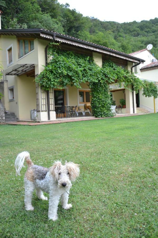 B&B Ca' Dell'Ortolan Villaga Eksteriør bilde